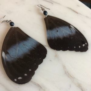 One of a Kind Real Butterly Wing Earrings
